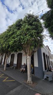 GC Agaete 2025-38.jpg